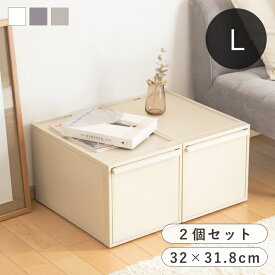 【選べる特典付き】 like-it ライクイット クローゼットシステム L 同色2個セット 幅32×奥行52×高さ31.8cm 収納ケース 引き出し セット