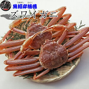 �y���ʌ���750g�O��3�L��4�t�ґ�ȓ~�̖��o��������Łz�{�Y���C�J�j �I�X ���� �Ⓚ �{�C�� �{�Y���C�K�j 4�t 3kg ���V�A �ۂ��� �p �J�j�~�\ �J�j����� �h�� ���Ε� �M�t�g �����p �������� 