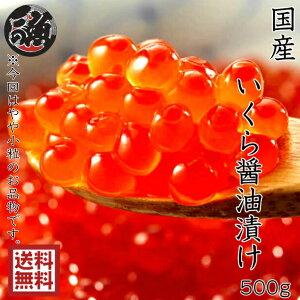 s[^[l^IykCݖЂ500gzō ɏ̃CN IKURA ł͂Ȃ {̔ r[]IMĂ߂܂ i Mtg z