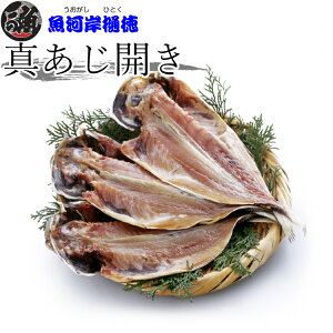 yY^AWJz^AW Y Ⓚ  4/5/10/15 1P[X Y  т̂ g |̋Ïkꂽ