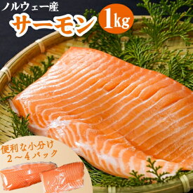 ひとま どどーーんと1キロ！ ノルウェーサーモン 1kg 生食可 皮つき サーモン ブロック 国内加工 まるが水産 真空 冷凍 お得 特大 刺身 寿司 お買い得 【SANKO MARKETING FOODS】