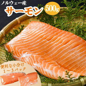 ひとま ノルウェーサーモン たっぷり 500g 生食可 皮つき サーモン ブロック 国内加工 沼津市 まるが水産 真空 冷凍 お得 特大 刺身 寿司 お買い得 【SANKO MARKETING FOODS】