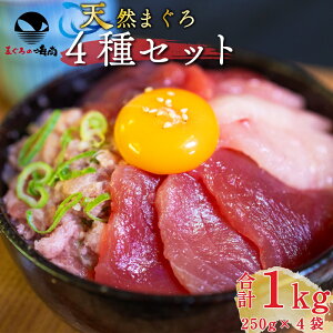 ЂƂ VR}O ~i~}O lMg o`}O gr`E Ⓚ ؂藎Ƃ 250g×4 4 Hה׃Zbg ܂  y܂SANKOCz  CN hg i ˂Ƃ 