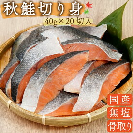 ひとま 国産 天然 無添加 無塩 鮭 切り身 40g 20切 800g 魚 骨取り 骨なし 北海道産 秋鮭 冷凍 バラ凍結 サケ 【まぐろのSANKO海商】