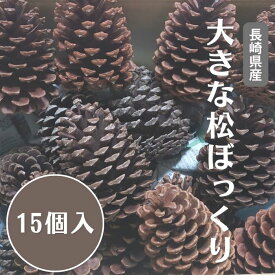 【送料無料】大きなまつぼっくり15個入り【9～11センチ】ハンドメイド 飾 インテリア 門松 正月 クリスマス 工作 作品 材料 長崎 国産 大きい ビッグ big 松ぼっくり 松毬 装飾 ドライフラワー 花材 pinecone 楽天ランキング受賞 ギフト