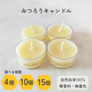  ݂낤Lh~j4/10/15y F 100RREƃJbv̎ނIׂzNAJbv/A~Jbv/~bNXeB[Cg RĖ3 Y yV