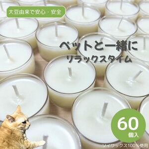 \CLh~j60y F100\CbNXz܂Ƃߔ XgbN CxghЗpɂyVLO1ʁIeB[Cg NAJbv RĖ3Ԕ  Ɩ M