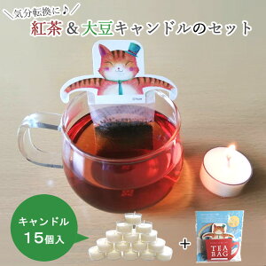 ソイキャンドル ろうそくの人気商品 通販 価格比較 価格 Com