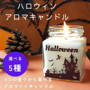 nEBA}\CLhy1EIׂ5̍zVR100 哤R̃\CbNX100gpy[Y[jEx_[/p`OX/qmLIW/V