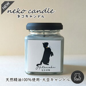 ソイキャンドル ろうそくの人気商品 通販 価格比較 価格 Com