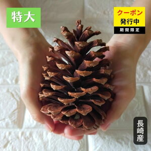 ySSN[|g܂zI΂ĐlCNO1IH~̍HɁ叼ڂ3Zbg 10cmȏ R eqH Lbg RfނłňSS Â莞 DIY H~̃CeA 