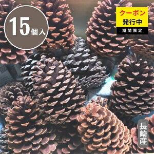 ySSN[|g܂z傫Ȃ܂ڂ15i10cm`jnhCh fBXvC Be [X AWf u[X YfBXvC eqŊyލHLbg H