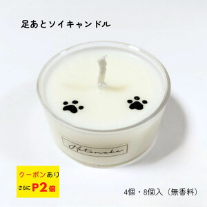 yԌN[|Lzy蕨ybĝɂzƃLh4 8 Iׂ uE100%\CbNXgpEvLO ybgĂS ybg{ 