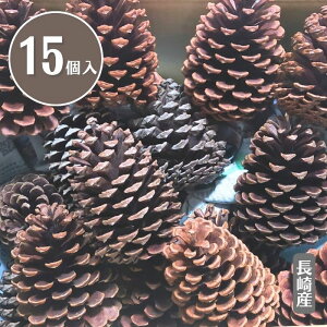 ���傫�Ȃ܂ڂ�����15���i10cm�`�j�n���h���C�h���� �f�B�X�v���C �B�e������ ���[�X �A�����W�f�� �u�[�X���� �Y��f�B�X�v���C �e�q�Ŋy���ލH��L�b�g �H�̃C���e���A ���Y ��������