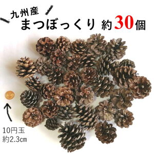 Ȃ܂ڂ30y 3`6Z`z傫ȏڂł܂񁦏H~̃CeA NX}X 叼  Nn ߓ  ߏ ڂ [X nh