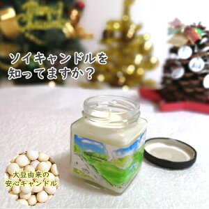 LO \CLhKumamotoyA}Lh F \CbNX100EVRgpzqmLEIWEx_[ K ґz CeA v[g Mtg  