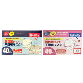 プロリーブ　個包装タイプ　不織布マスク　40枚入り【 JIS規格一般用マスク適合商品 個別包装 ウイルス 飛沫 三層構造 花粉 ほこり 幅広平ゴム 立体プリーツ加工 ノーズバー 持ち運び 携帯 1枚 1枚ずつ バラ 防災 】