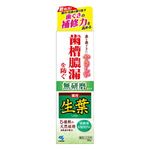 \2日間限定☆全商品対象10%OFFクーポン/小林製薬 生葉Ma 無研磨タイプ 95g【ハミガキ フッ素 虫歯予防 口臭予防 歯磨き粉】