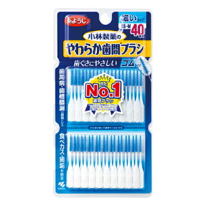 炩ԃuV@SS|MTCY@p40{yq f^PA \h  LPA Nz