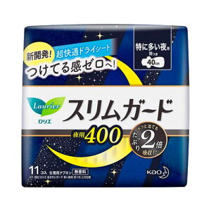 _2Ԍ聙SiΏ10%OFFN[|^ԉ@G@XK[h@ɑp400@11