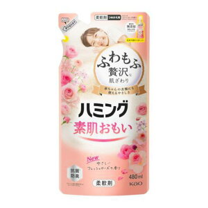 ԉ@n~O@tbV[Y@߂@480mly_ ӂ炩 z