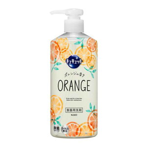 ԉ@LLbg@|v@480mly䏊 H z