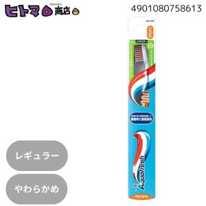 \2日間限定☆全商品対象10%OFFクーポン/GSK アクアフレッシュ ハブラシ やわらかめ【ハミガキ 虫歯予防 口臭予防 健康 オーラル 衛生】