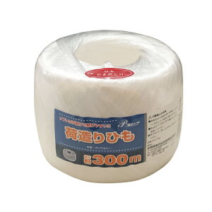 v[u@בЂ@300m y z V h | S~o Cxg wZs PTA z