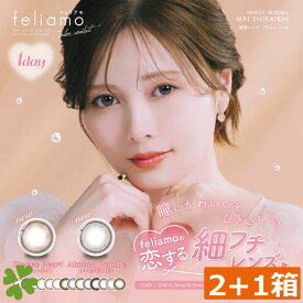 ポイント2倍 合計3箱 feliamo フェリアモ カラーコンタクト(10枚入)×2箱　1day ディファイン カラコン 白石麻衣 新商品 feliamo まいやん
