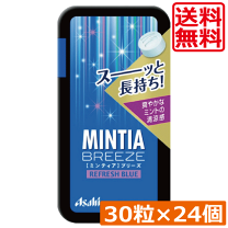 楽天市場】ミンティア パックの通販