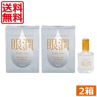 【本日限定ポイントアップ中】ハードレンズ用装着液 東レ 眼潤 (12ml) ×2個　コンタクトケア