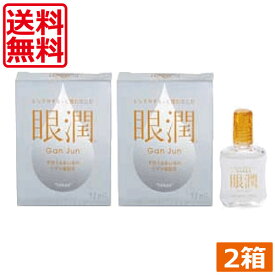 【本日限定ポイントアップ中】ハードレンズ用装着液 東レ 眼潤 (12ml) ×2個　コンタクトケア