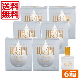 ハードレンズ用装着液 東レ 眼潤 (12ml) ×6個　コンタクトケア