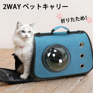 ybgL[obO L[V_[ L[J[g lR ybgobO L ^ L[V_[Jo V_[L[ y ܂肽 ybgL[J[g ܏ R