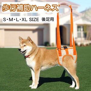  n[lX 㑫p s⏕ n[lX sT|[g z bV y S`XLTCY V VjA V pin[lX ybgsbt[