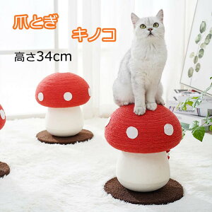 L ܂Ƃ  LmR^L^[ Lp lR Lbg^[ ܌ ܖ Lbg|[ L̂ ̂^ VRTCU   ϋv Ƌ\t@ی  ^s X