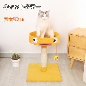 L ܂Ƃ Lbg^[ ܂Ƃ|[ Aq L ˂  ybgp   L^[ Lp lR Lbg^[ ܌ ܖ Lbg|[ VRTCU   ϋv 