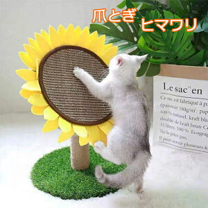 L ܂Ƃ  q}^L^[ Lp lR Lbg^[ ܌ ܖ Lbg|[ L̂ Ђ܂^ VRTCU   ϋv Ƌ\t@ی  ^s