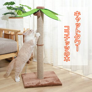 Lbg^[ L ܂Ƃ  RRibc̖،^L^[ Lp lR Lbg^[ ܌ ܖ Lbg|[ L̂ ₵̖،^ VRTCU   ϋv Ƌ\t