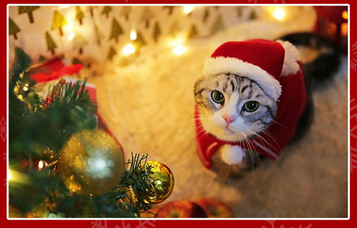 ペット服 クリスマス衣装 猫服 サンタ帽子 可愛い クリスマス マフラー 犬服 セット 2点set カチューシャ マント サンタコスチューム トナカイ