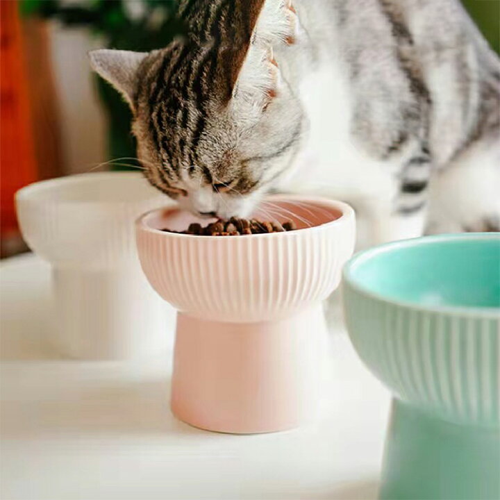 セール特価品 猫 食器 陶器 フードボウル 犬 犬用 餌入れ スタンド 脚付 食べやすい エサ入れ おしゃれ 猫用 ねこ 鳥 インコ オウム ウォーターボウル 水飲 Shipsctc Org