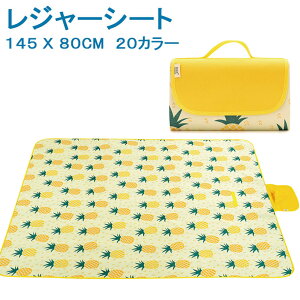 W[V[g 145cmx80cm 20F 􂦂 h ^ q  obN^  q Ԍ ^ h  Ԍ C tFX h  AEghA sNjbN  傫 RpNg C