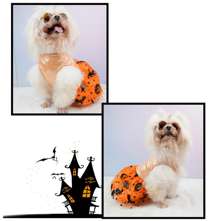 楽天市場】ハロウィン 衣装 ペット ドレス 犬 服 コスプレ ハロウィン 