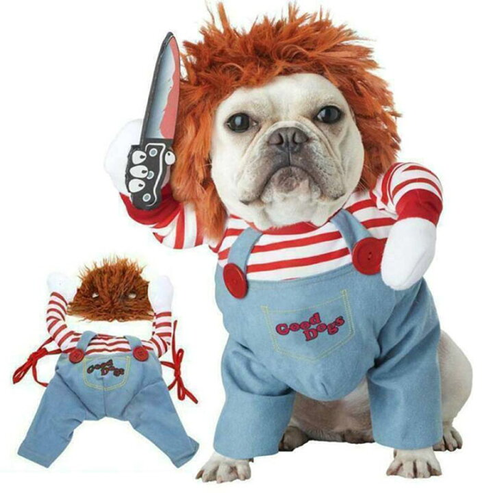 楽天市場】ハロウィン 衣装 ペット ペット ハロウィン 犬 猫 服 