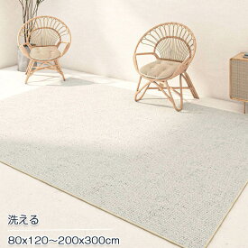 ラグ 洗える ラグ 200x300cm カーペット 80x120cm リネングレイン ラグマット おしゃれ 北欧 ラグカーペット オールシーズン 夏用 冬用 ウォッシャブル 滑り止め 角型 大判 耐磨 高級感 寝室 雰囲気 子供部屋 高密度 シンプル リビング 通年 新生活 送料無料