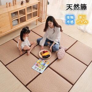 ^J[ybg ^}bg VR }bg 60x60cm Zbg  ^ ڐG⊴ ܂ [ȒP \tg}bg NbV}bg pl a N[[V hH Q}bg 