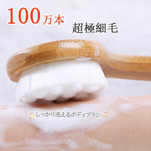 {fBuV w ɍז uV VN wuV {fB[uV _炩 _炩 w jLr C | Onh  Xp XLPA C   XLPA oX