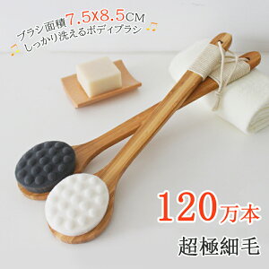 {fBuV w ɍז uV VN wuV {fB[uV _炩 _炩 jLr C | Onh  Xp XLPA C   XLPA oX[