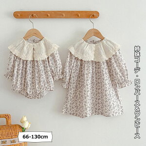 q oR[f  oN p[X s[X  ̎q xr[ LbY ĕ qǂ q Ԃ  킢 oYj ԕ i ʉ ʊw o 66 73 80 