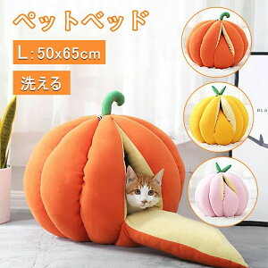 LbgnEX hbNnEX LnEX h[^ ڂ ݂ NbV h[xbh Lbgxbh ˂ Lpi L  ^ ^ lGp 􂦂